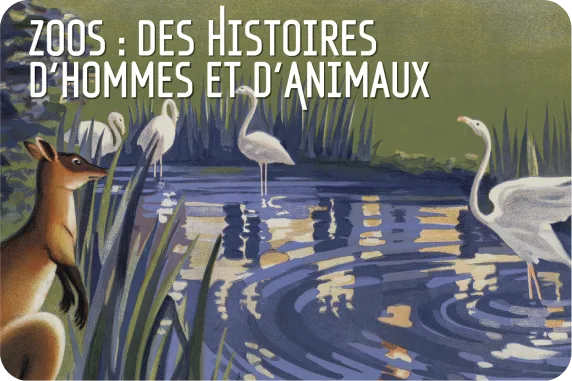 À la rencontre des animaux au Parc de Clères