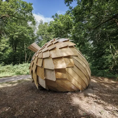 Balade magique dans la Forêt Monumentale