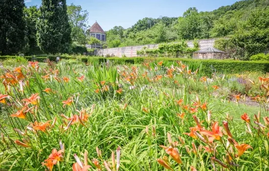 Sortie nature : Les quatre saisons du Parc de Rouelles