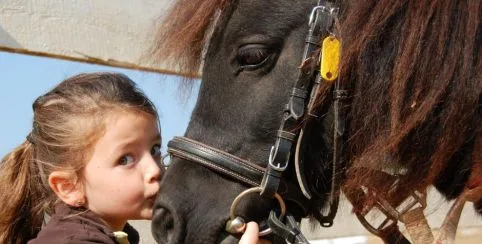 Initiation poney à la Ferme de Viltain à Jouy-en-Josas (78)